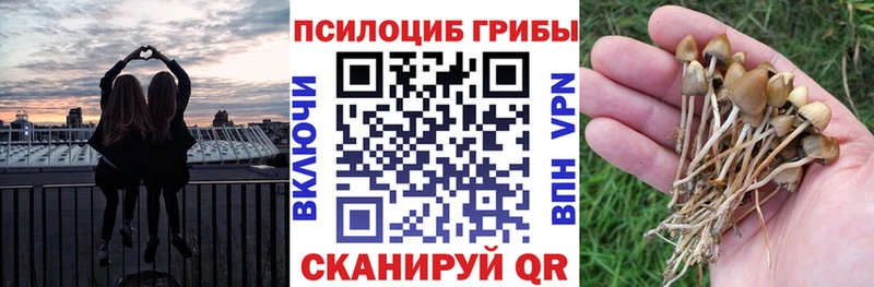 Купить  Тосно  Галлюциногенные грибы прущие грибы 